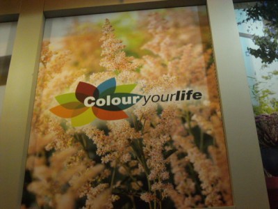 PICT0304.JPG