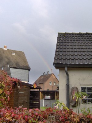 Regenbo.jpg