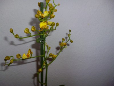 P1010540.JPG