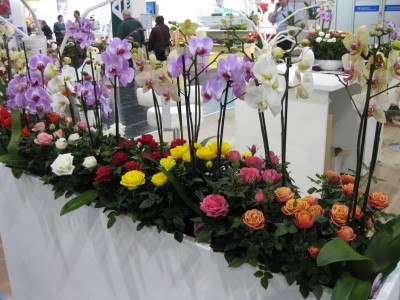 IMG_5638.jpg