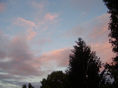 schööööön 072.jpg