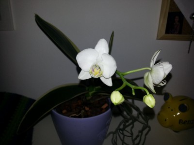 20130129_214615.jpg