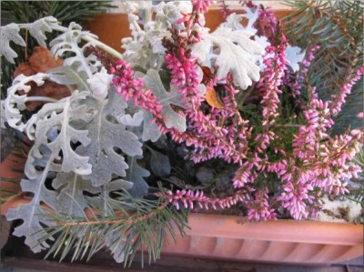 Blumenkasten_winter.jpg