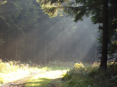 S1030038.JPG