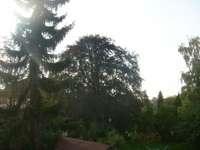 Garten 075.jpg
