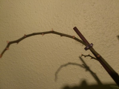 1359736256479[1].jpg