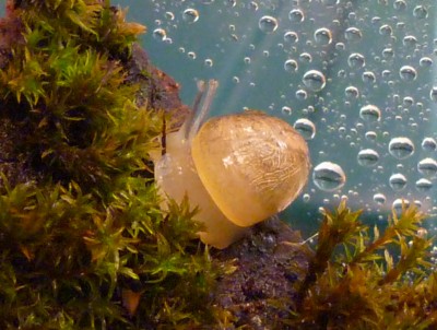 P1030430a.jpg