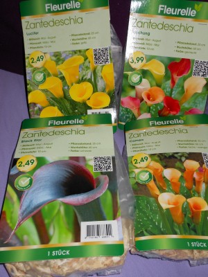 DSCN1619.JPG