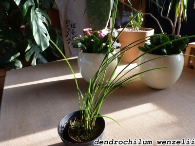 P1040008.JPG