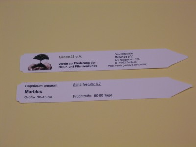 PICT0324.JPG