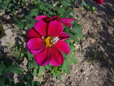 Bild 007.jpg