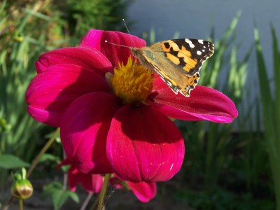Bild 005.jpg