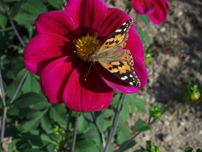 Bild 004.jpg