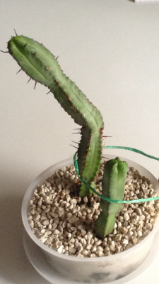 iphone bilder 045.PNG