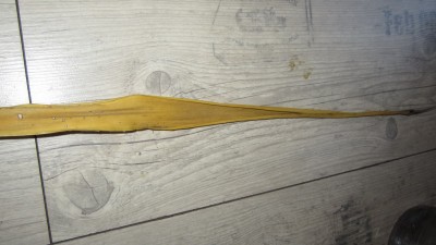IMG_1194.JPG