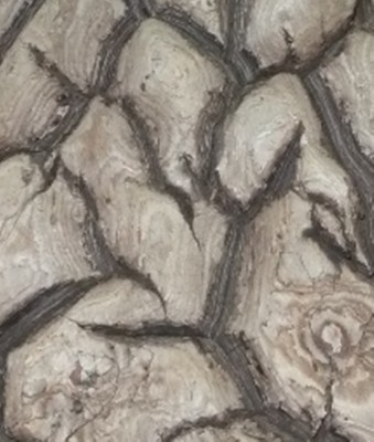 Kopie von P1000624.JPG