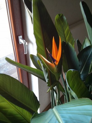 2013-02-10 12.07.56.jpg