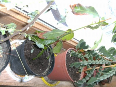 BILD1574.JPG
