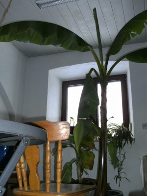 BILD1596.JPG