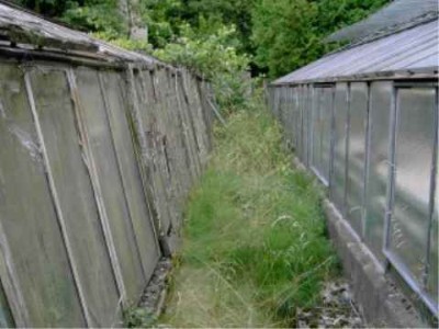 PICT2610.jpg