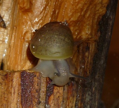 P1030476crop-2.jpg