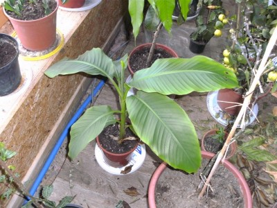 BILD1582.JPG