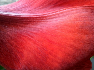 2013-02-10 14.03.30.jpg