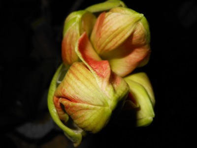 15.02.2013_1.JPG