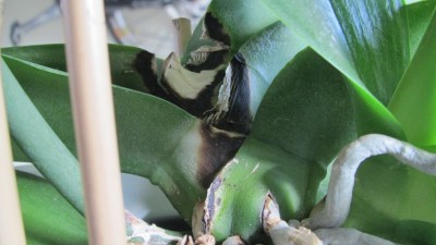 IMG_2586.JPG