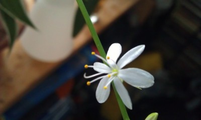 2013-02-17 15.36.15.jpg