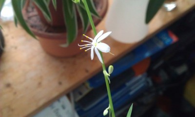 2013-02-17 15.35.48.jpg