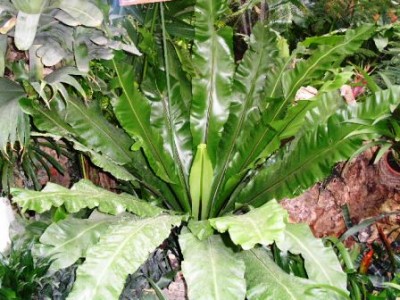 PICT0150.JPG
