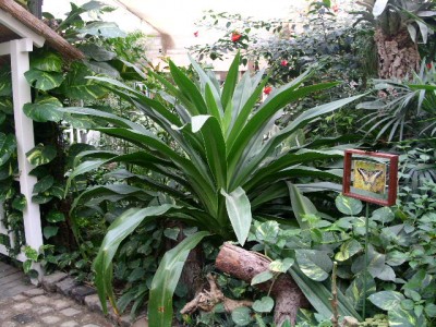 PICT0143.JPG