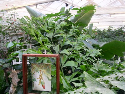 PICT0141.JPG