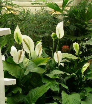 PICT0113.JPG