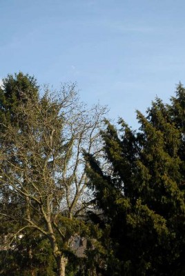 Wetter 006yy.jpg