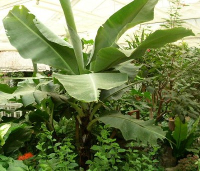 PICT0112.JPG