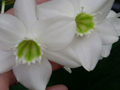 PICT0317.JPG