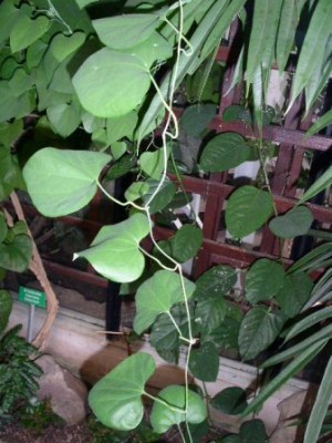 PICT0302.JPG