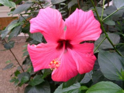 PICT0269.JPG
