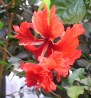 PICT0334.JPG