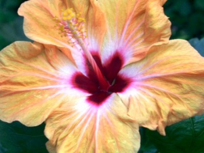 PICT0330.JPG
