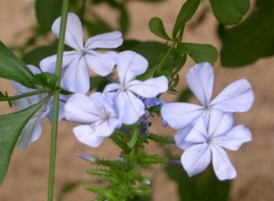 PICT0328.JPG