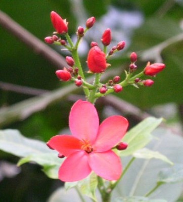 PICT0326.JPG