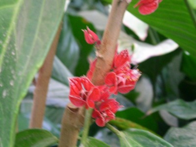 PICT0319.JPG