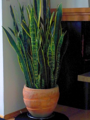 20130222_154916.jpg