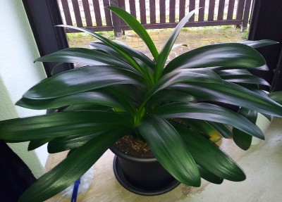 20130222_155345.jpg