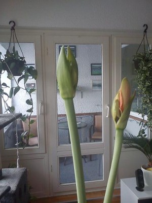 DSC01560__.jpg