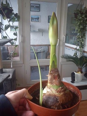 DSC01559__.jpg