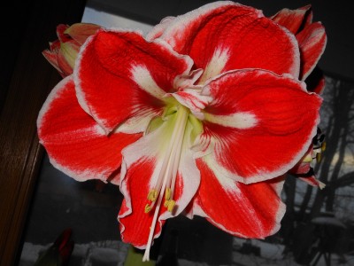 21.02.2013_1.JPG